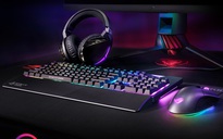 Viễn Sơn trở thành nhà phân phối màn hình và phụ kiện ASUS ROG