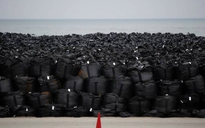 Lũ cuốn trôi nhiều túi chứa chất nhiễm xạ tại Nhật Bản