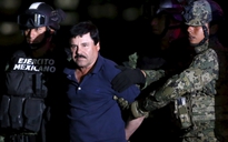 Trùm ma tuý Mexico được đưa về nhà tù đã từng trốn
