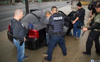 Mỹ: Hơn 600 người nhập cư trái phép bị bắt trong tuần qua
