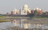 Đền Taj Mahal bị xỉn màu, tòa án tối cao Ấn Độ vào cuộc