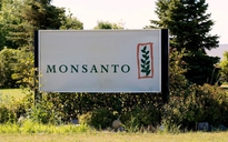 Tòa án giảm mức bồi thường đối với Monsanto vụ nạn nhân ung thư