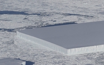 Tảng băng 'vuông tự nhiên' gây kinh ngạc tại Nam Cực