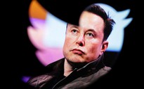 Khảo sát kết thúc, đa số người dùng Twitter muốn tỉ phú Elon Musk từ chức CEO
