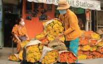 23 tháng Chạp: Chợ hoa Hồ Thị Kỷ ‘hồi sinh’, mong trở lại thời hoàng kim