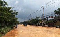 Lâm Đồng: Mưa lớn kéo dài, hàng trăm căn nhà, rau màu chìm trong biển nước
