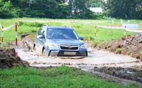 Lái dàn xe Subaru ‘leo dốc vượt hồ’ giữa lòng phố
