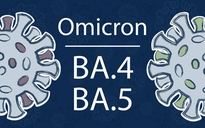 BA.4 và BA.5 lây nhanh hơn 10-13% so với các biển thể Omicron khác