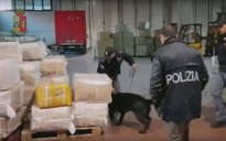 Ý triệt phá băng mafia Trung Quốc lộng hành châu Âu