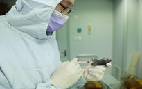 Trung Quốc thử vắc xin ngừa virus Corona gây viêm phổi Vũ Hán trên động vật