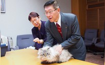Sợ Covid-19, tỉnh trưởng Nhật Bản cách ly chú mèo quà tặng của Tổng thống Putin
