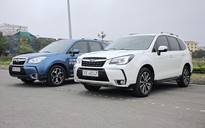 Subaru Forester nhập Thái Lan về Việt Nam khiến xe cũ mất giá nặng