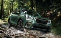 Subaru Forester có thêm phiên bản dành cho 'phượt thủ'