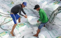 Ứng 100.000 tấn hạn ngạch xuất khẩu gạo tháng 5 để gỡ khó cho doanh nghiệp