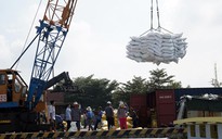 Thủ tướng đồng ý xuất khẩu gạo trở lại bình thường từ 1.5