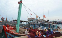 Hải sản Việt Nam bị 'thẻ vàng' thêm 6 tháng