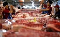 Nhập khẩu thịt heo tăng mạnh theo giá heo nội địa