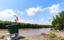 Giám sát môi trường rừng ngập mặn Cà Mau