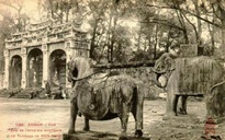 Tại sao khu lăng mộ các vua nhà Nguyễn ở Huế thường xuất hiện... con ngựa?