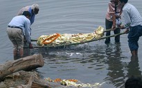Tìm thấy hơn 100 thi thể trôi trên sông Hằng