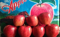 VN chưa nhập khẩu táo của Bidart Brothers