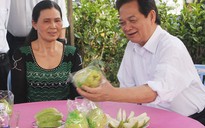 Đồng Nai đón nhận danh hiệu 'Huyện nông thôn mới'