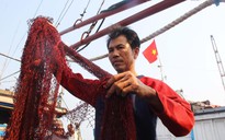 Ngư dân Quảng Nam tố bị tàu Trung Quốc cướp phá ở vùng biển Hoàng Sa