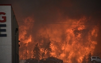 Cháy rừng dữ dội ở Ấn Độ và Canada