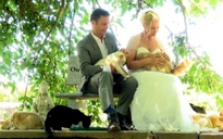 Tổ chức đám cưới với sự chứng kiến của 1.100 chú mèo