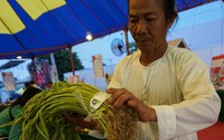 Tự tạo cơ hội: Ăn nên làm ra từ rau muống VietGAP