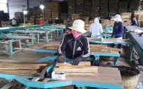 Cơ hội xây dựng thương hiệu gỗ Việt