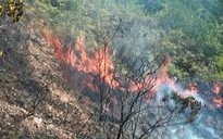 Miền Trung, miền Nam đề phòng cháy rừng mùa khô