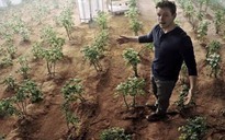 Có thể trồng khoai tây trên sao Hỏa?