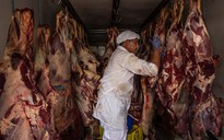 Việt Nam nhập gần 3.000 tấn thịt từ Brazil