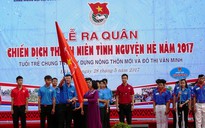 7 đội hình tình nguyện hè