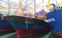 Tàu cá vỏ thép mới đóng đã hư hỏng: Phải khởi tố hành vi gian dối