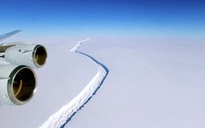 Tảng băng ngàn tỉ tấn ở Nam Cực