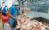 Xuất khẩu lô hàng thịt gà sạch đầu tiên sang Nhật Bản