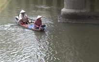 Cá trên kênh Nhiêu Lộc - Thị Nghè vẫn bị tận diệt