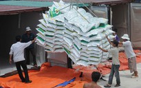 Giá lúa gạo Việt Nam vượt Thái Lan, Ấn Độ