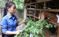 Điểm 10 cho môn học dạy... làm người