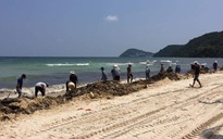 Hàng chục tấn lục bình chết trôi dạt ra bờ biển Phú Quốc
