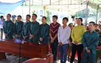 Thêm 9 bị cáo trong vụ đốt phá ở Bình Thuận lãnh án