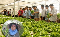 Đà Nẵng thu hút đầu tư: Nông nghiệp công nghệ cao còn... lửng lơ!