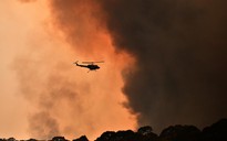 Úc bồi dưỡng tình nguyện viên chữa cháy rừng