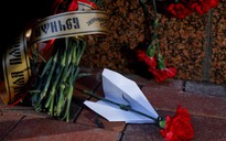 Việt Nam gửi điện chia buồn về vụ máy bay Ukraine gặp nạn