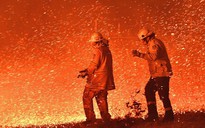 Mưa to không dập tắt hết cháy rừng ở Úc