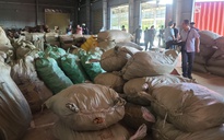 100 tấn dược liệu Trung Quốc núp bóng nông sản