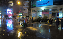 TP.HCM: Cây xanh ngã đổ trong đêm, 2 người đi đường bị thương