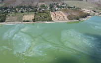 Hồ thủy điện Ya Ly bị ô nhiễm, bốc mùi hôi thối